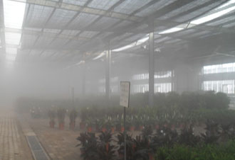 农业/种植业大棚加湿案例