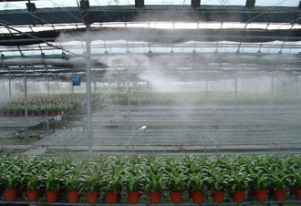 农业/种植业大棚加湿案例