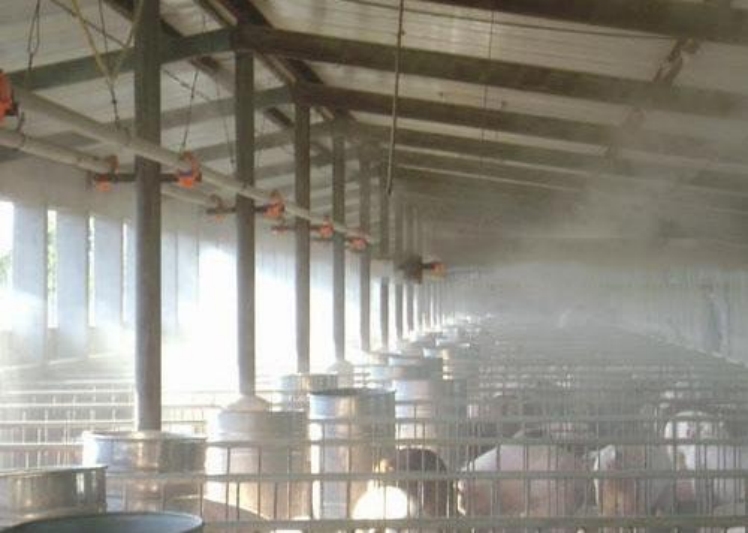 养猪场是如何进行喷雾除臭的？