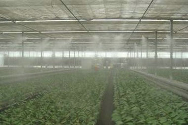 现代农业种植对于工业加湿器的使用
